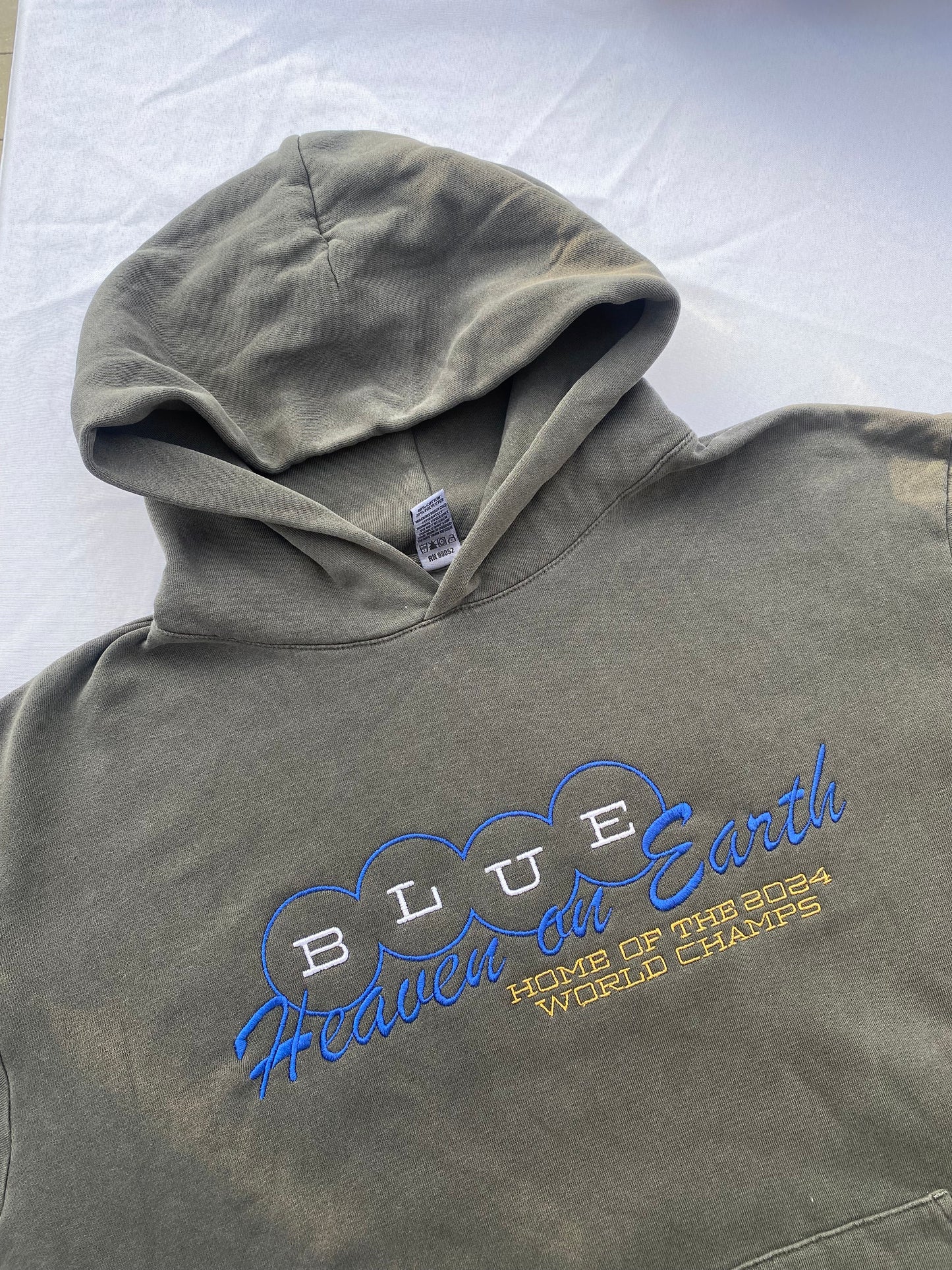 Blue heaven embroidered hoodie